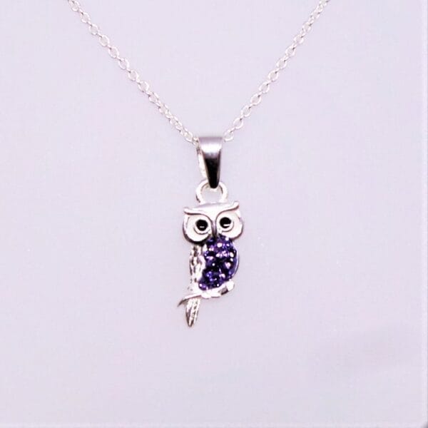 Cute Tiny Tanzanite Owl Silver Necklace