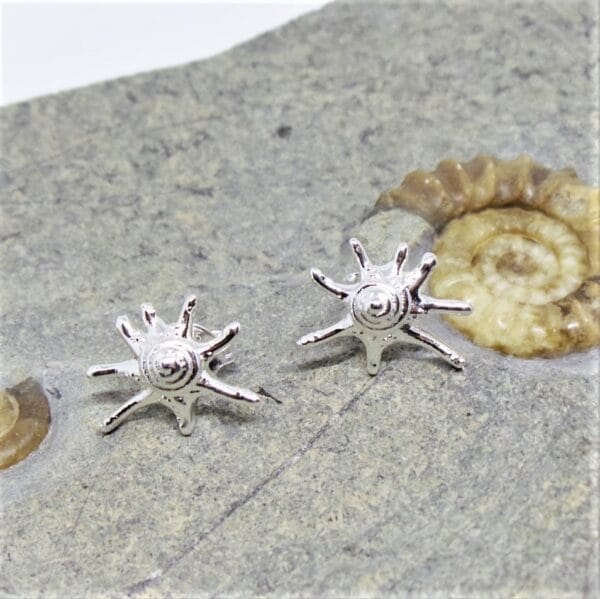 Attractive Silver Sealife Shell Stud Earring