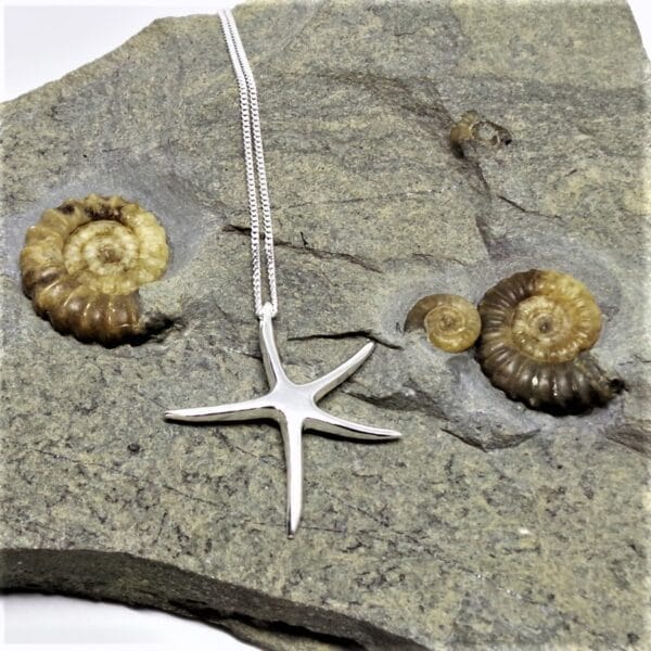 Trending Miriam Sterling Silver Starfish Pendant