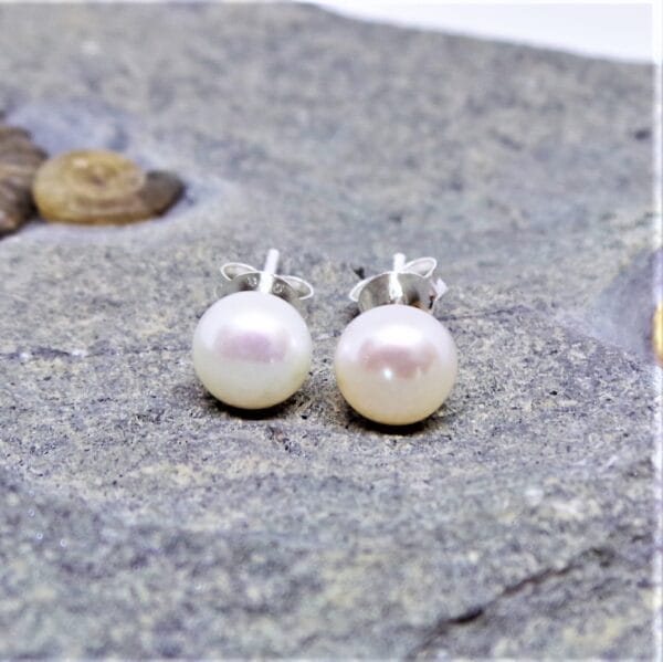 Ivory Freshwater Pearl Stud Earrings