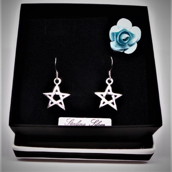 Sparkling Sterling Silver Pentagram Earrings