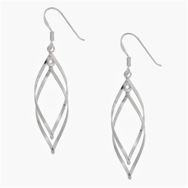 Beautiful Double Drop Earrings